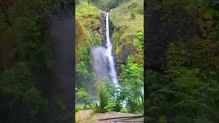 natural waterfall #shorts #ytshorts #nature #naturelovers