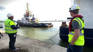 PLAATSING STORMVLOEDKERING IN NIEUWPOORT