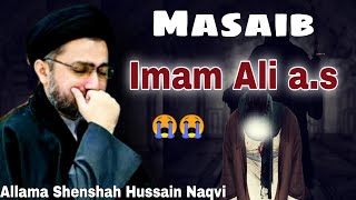 Masaib Shahadate Imam Ali ع |Allama Syed Shahenshah Hussain Naqvi Sahab|