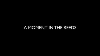 A Moment In The Reeds - Trailer