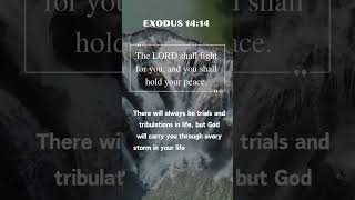 Exodus 14:14  The LORD shall fight for you, and you shall hold your peace. #bible #jesus #exodus14