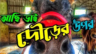 কেন ভিডিও দিচ্ছি না  || some good news || Purbasha Agro