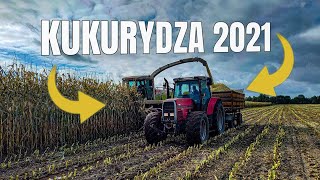 🔥KUKURYDZA NA KISZONKĘ 2021🔥W GR ZGOLAK🔥MF ZAMYKA LICZNIK🔥4 ZESTAWY W AKCJI🔥