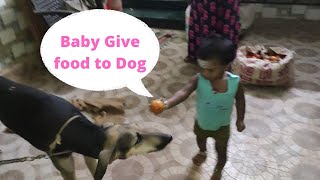 baby give food to hungry dog| #dog #baby #pets #doglover #food #kanni #dogfunny #puppy #puppies