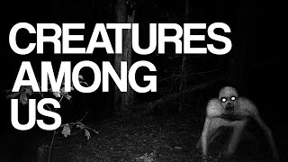 Strange Paranormal Creatures Among Us Caught on Tape