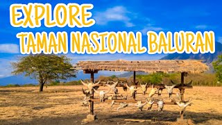 EXPLORE TAMAN NASIONAL BALURAN 2024 (Savana Bekol, Pantai Bama, Dermaga Mangrove)