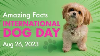 Today, August 26th, is National Dog Day🤔