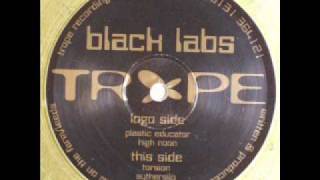 Black Labs - Torsion.wmv