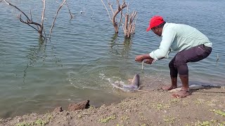 SINGLE HOOK FISHING🎣 in Indian River Big Fishes to Catching