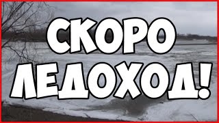 Скоро ледоход!