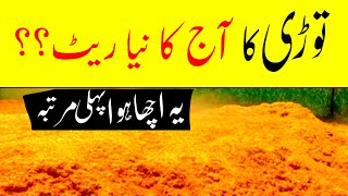 wheat straw rate today Punjab 2023 2023گندم کا بھوسہ |wheat straw rate today