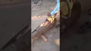 cut the wood into two pieces #viralvideo #shortvideo