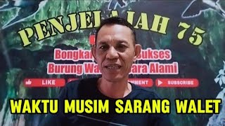 tanda tanda masuk musim sarang dan telur