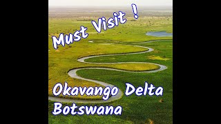 Botswana Travel 2022, Delta & Okavango River (Chobe River)  #shorts