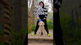 You are my GOLDEN retriever #goldenretriever