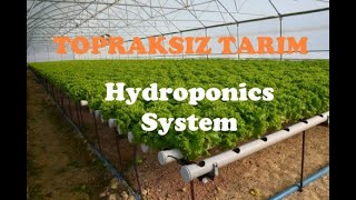 Topraksız Tarım - Topraksız Tarım Nasıl Yapılır, Soilless Agriculture, Hydroponic Farming, Farm