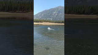 Shreddy Boat going INSANE Speeds on a beautiful  mountain lake .. But its R/C