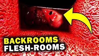 The Backrooms “FLESH-ROOMS” Explained..