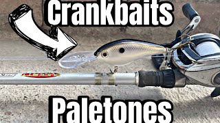 Este SEÑUELO capturo Lobinas ENORMES!!- Pesca con Paletón (CRANKBAIT)