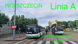 PKS Szczecin, linia A - MAN NG313 Lion' s City G #10836