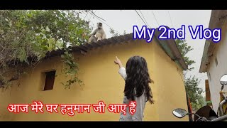 aaj mere ghar hanumaan ji aaye hai 🙈🙈 || #vlog #viralvideo #trending #monkey