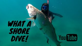 Spearfishing SOUTH COAST RSA | A Local Shore Dive