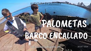 Aventura en Quequén Palometas y Barco Encallado INOLVIDABLE   #shorts