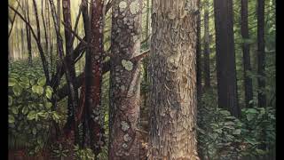 Painting Process for Gregory Schulte's The Forest Through The Trees