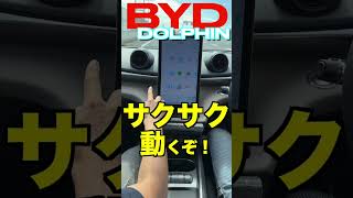 BYD DOLPHIN #shorts