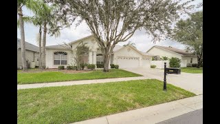 Quiet and Spacious Pool Home Nestled in Kingshyre Neighborhood of Tampa