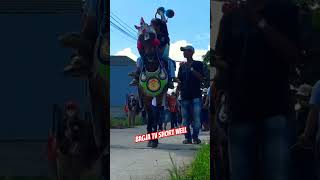 Naik kuda bintang manja - horse dance videos #naikkuda #kuda #kudarenggong #kudadelman #shortsvideo