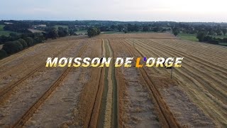 Teaser // Moisson de l'orge 🌾