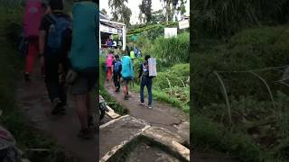 Gunung Gede || Pos Pendaftaran Via Putri #shorts