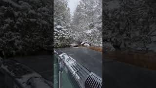 Off-roading in the Monongahela National Forest