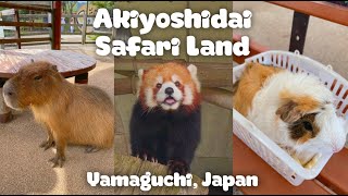 Akiyoshidai Safari Land | Yamaguchi, Japan | Safari | Travel | Guide | JAPAN Vlog