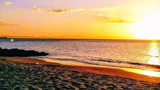 Soft Piano Music For Relaxation #relaxing #relaxingmusic #meditation | No Copyright Free To Use |