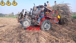 Massey Ferguson 240 tractor with sugarcane loaded trolley Stuck in mud