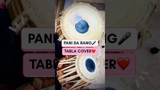 Tabla Cover✨Pani Da Rang😍| #shorts #viral #shortvideo #tabla #ghamakly #tablacover #panidarang