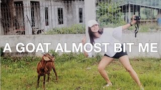 VLOG 5: CALATAGAN WEEKEND