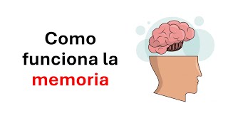 Cómo funciona la memoria y tips para mejorarla