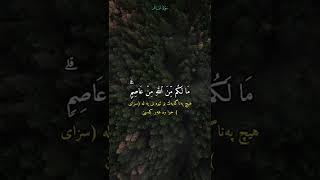 { وَیَـٰقَوۡمِ إِنِّیۤ أَخَافُ عَلَیۡكُمۡ.. القارئ مشاری فالح❣️❣️