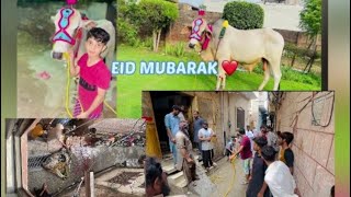 EID UL ADHA  MUBARAK 💫❤️