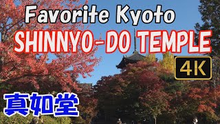 【Shinnyo-do Temple 真如堂】Favorite Kyoto.🍁See Shinnyo-do Temple in beautiful autumn.