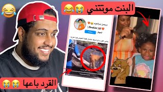 القرد باع شرفه😂💔(مقاطع الريلز)