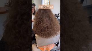 Curly Cut by a Curl Specialist #haircut #curlyhair