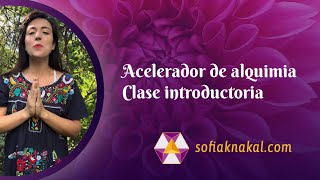 Danza de la transformación 💎Acelerador de alquimia 🌹clase introductoria