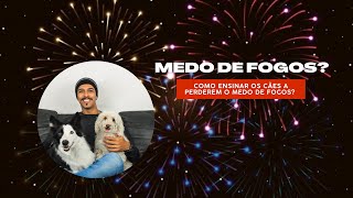 Como ensinar os cães a perderem o medo de fogos?