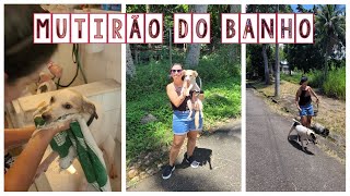 Trabalho voluntário na Fazenda Modelo - Guaratiba | RJ | Daniele Ferreira | Embarcando na Aventura