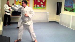 Kyushindo Backfist Kata (3)