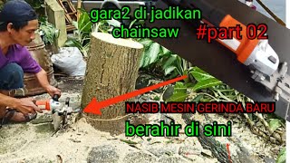 Tebang pohon mangga menggunakan chainsaw gerinda #Chainsaw02